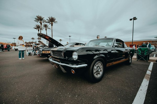 Comment entretenir son système ESP ?